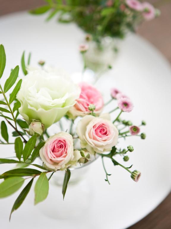 Jacquemine Luxury And Art Gallery Bed & Breakfast Bruges